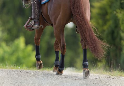 The EquiCrown brand .